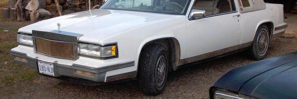 vidablue14 Profile Banner