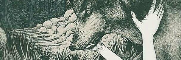 papirobie's profile banner image
