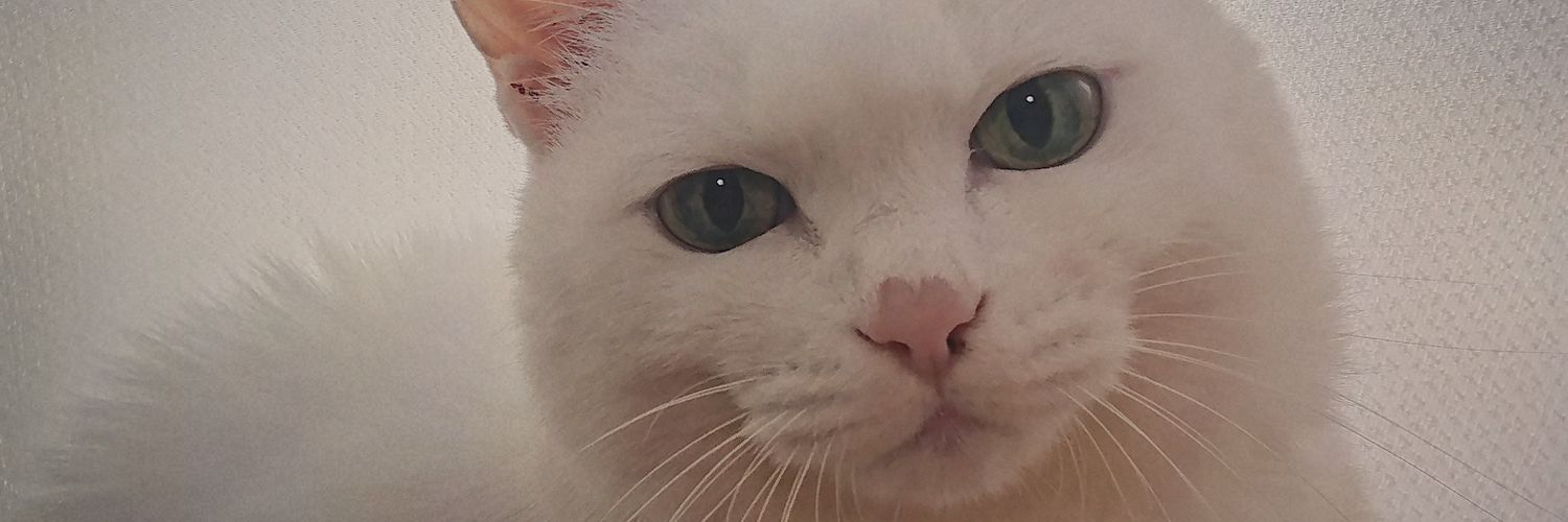 angelo104's profile banner image