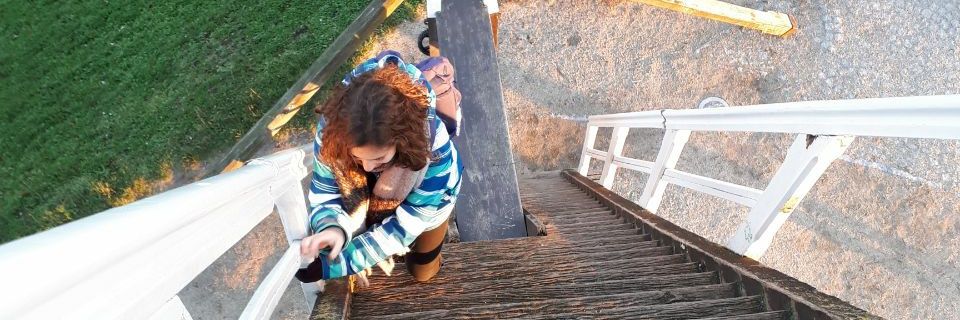 LlamasIsabel's profile banner image