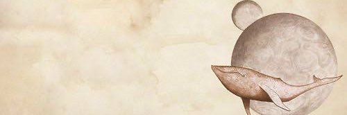 placeholderntn's profile banner image