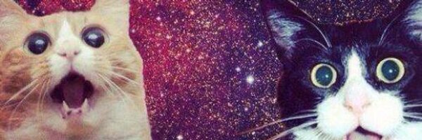 delitosdepollo Profile Banner