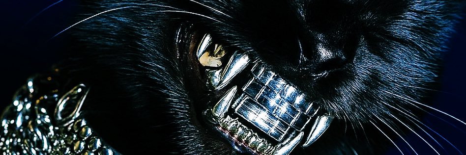 Black Cats Capital banner