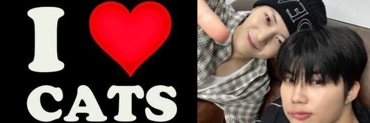 gunwook banner