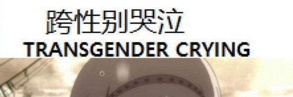girlfaggotron3000 banner