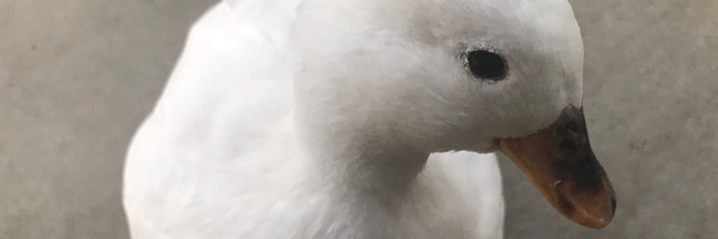 MY________08's profile banner image