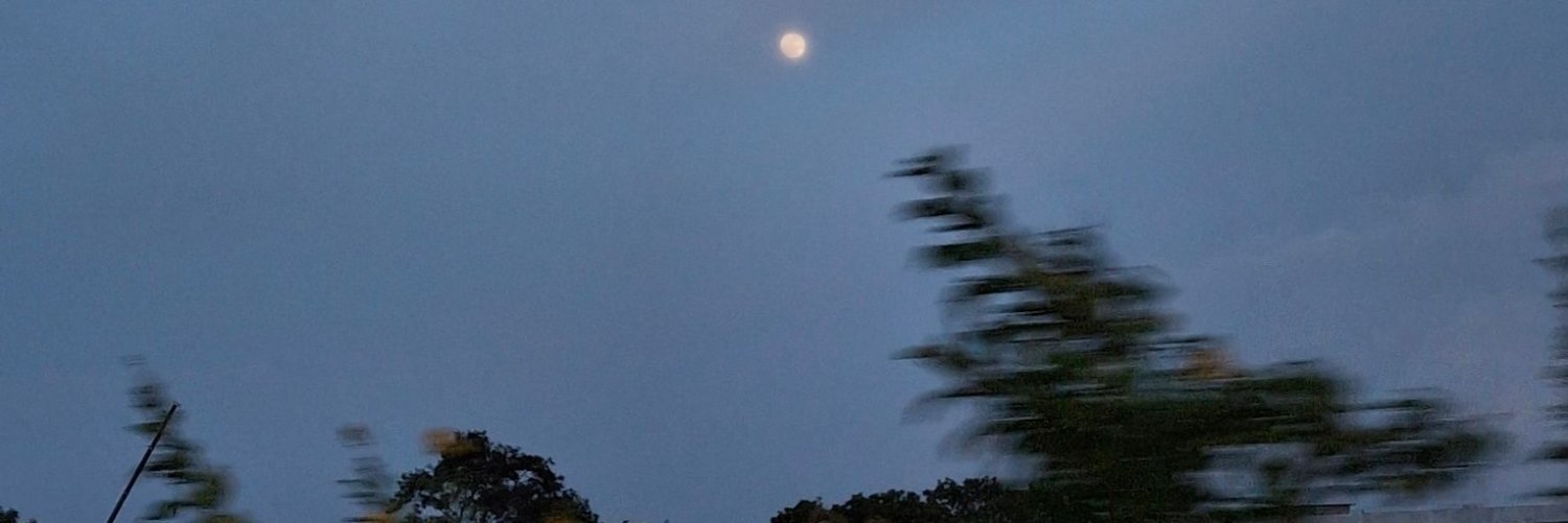 whocares6879's profile banner image