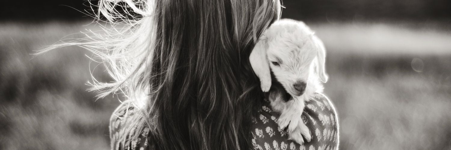 heycoacheva's profile banner image