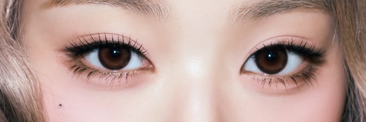 ねこちゃん飼いたいな banner