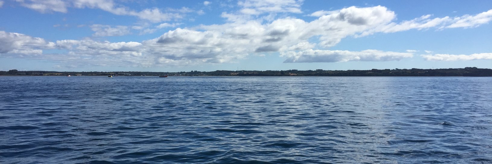 Dante Castillo Canales banner