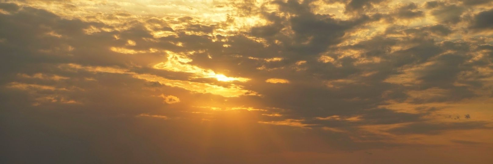 Ayyopp's profile banner image