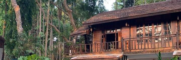 thaihoangbmt's profile banner image