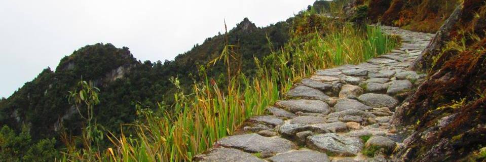 Michael Lott-Manier banner