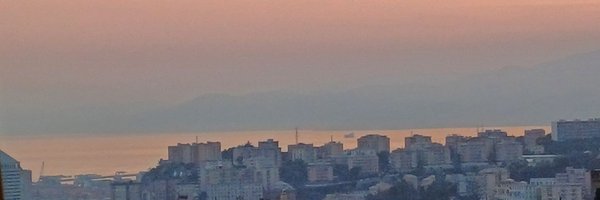 FrancescaP15812 Profile Banner