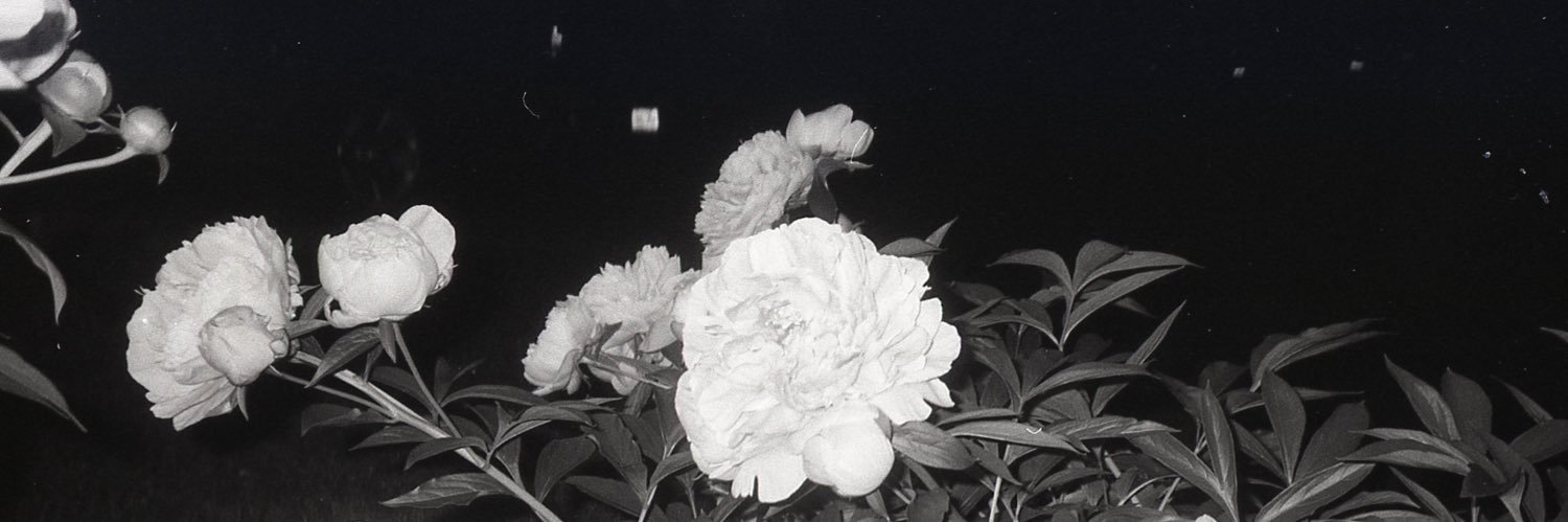 catsoupreme's profile banner image