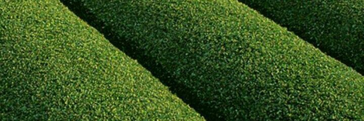 JerryAchilah's profile banner image