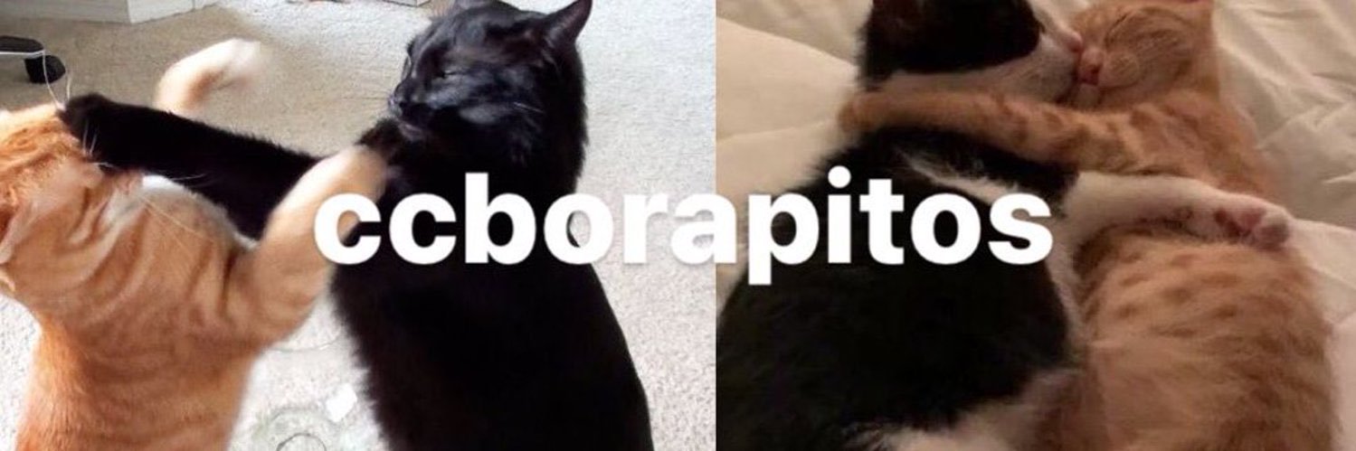 borapitos banner