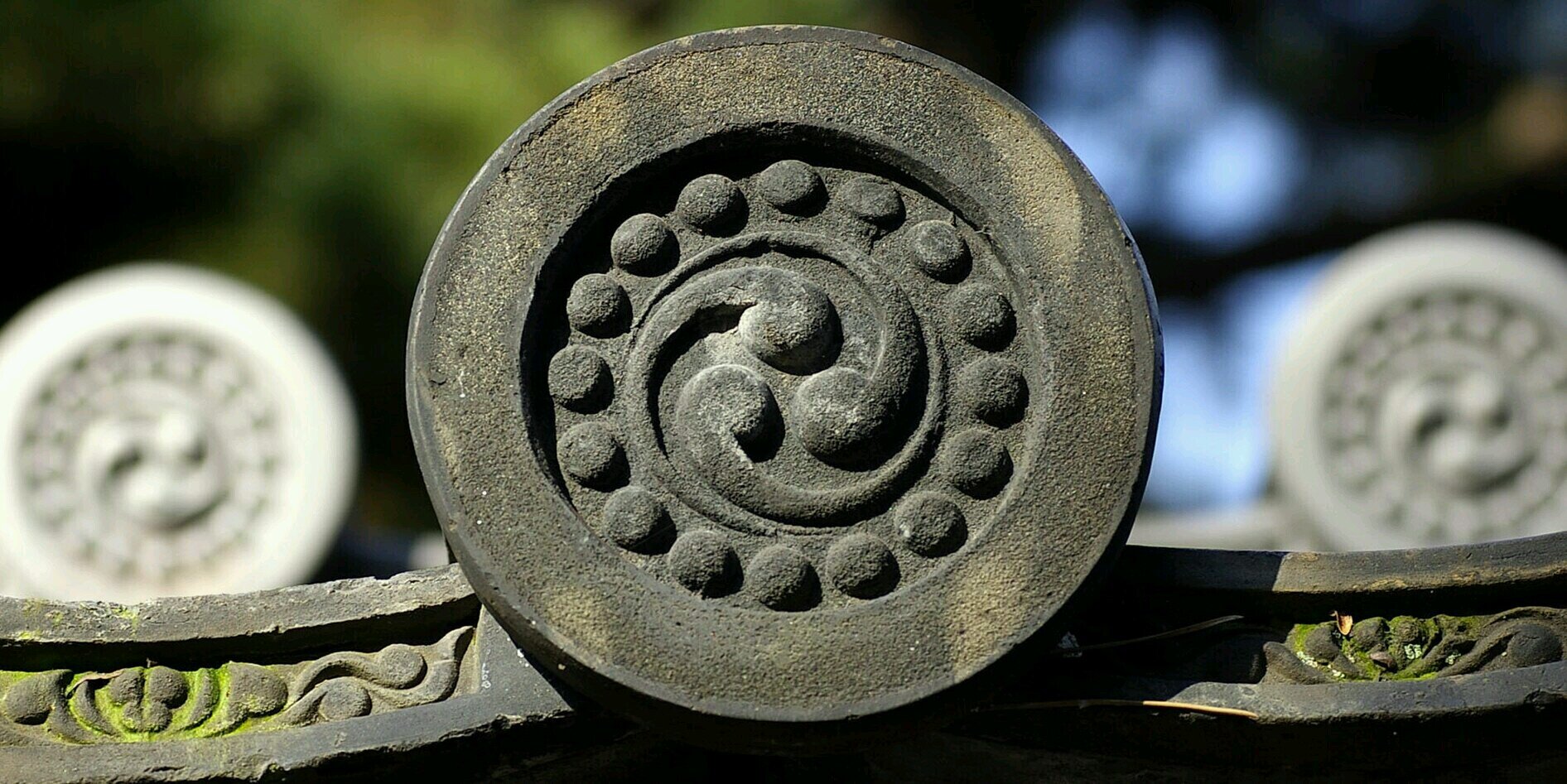 tatu551's profile banner image