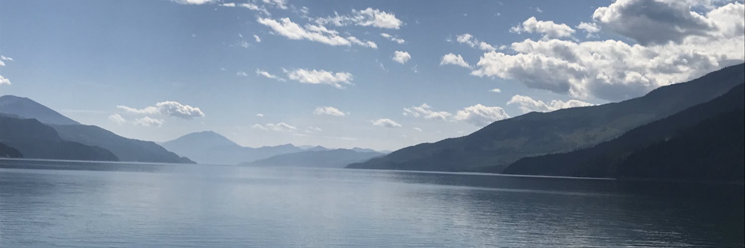 SherbertMonkies's profile banner image