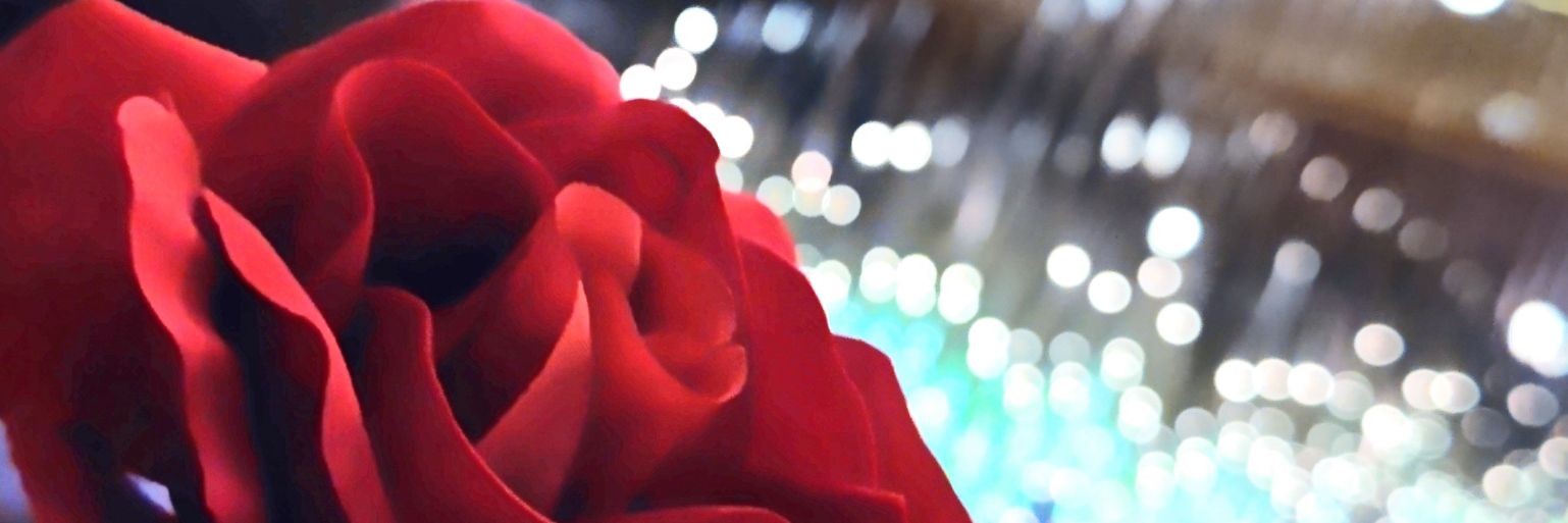 aoiazami's profile banner image