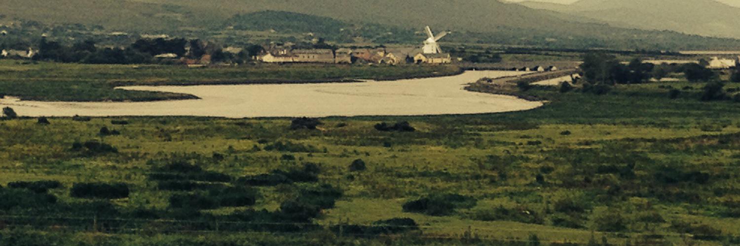 Shane Scanlon banner