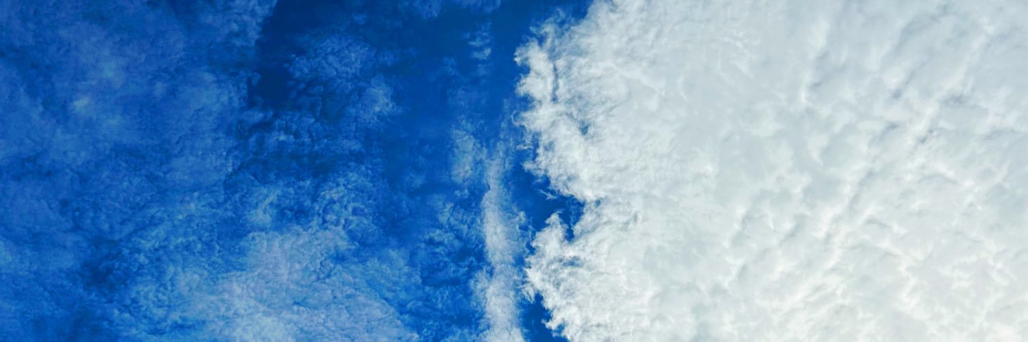 nslexi902's profile banner image