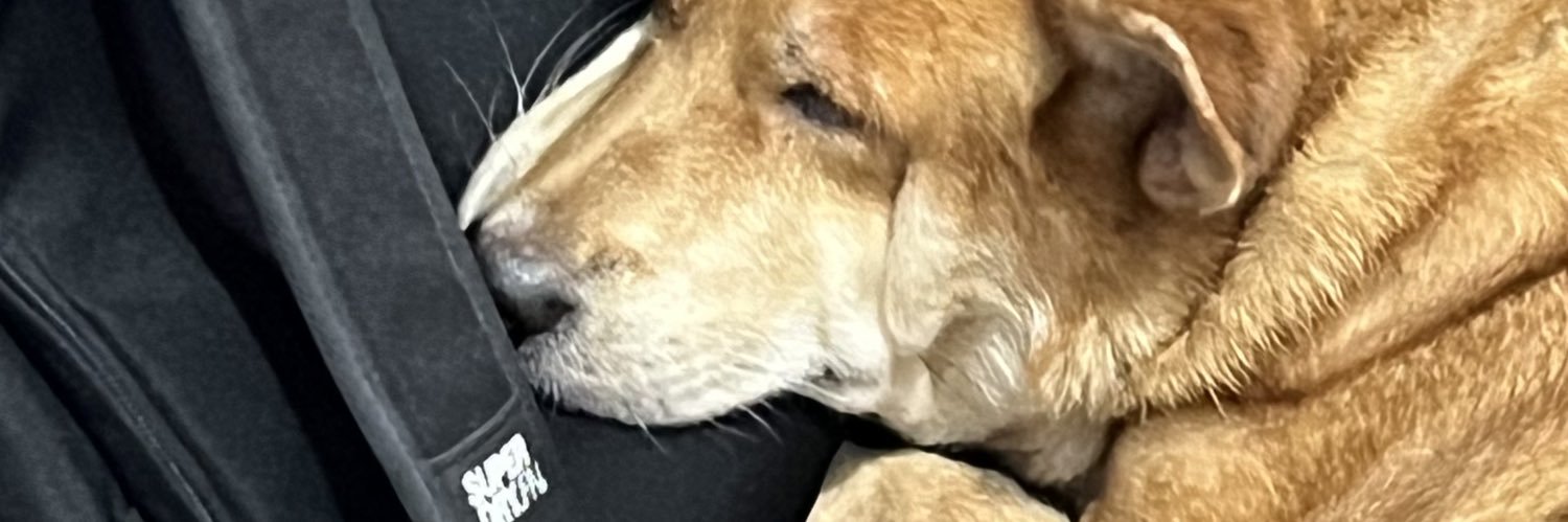 tomaynz's profile banner image