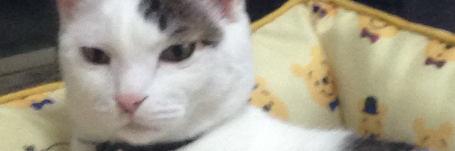 ehas9's profile banner image