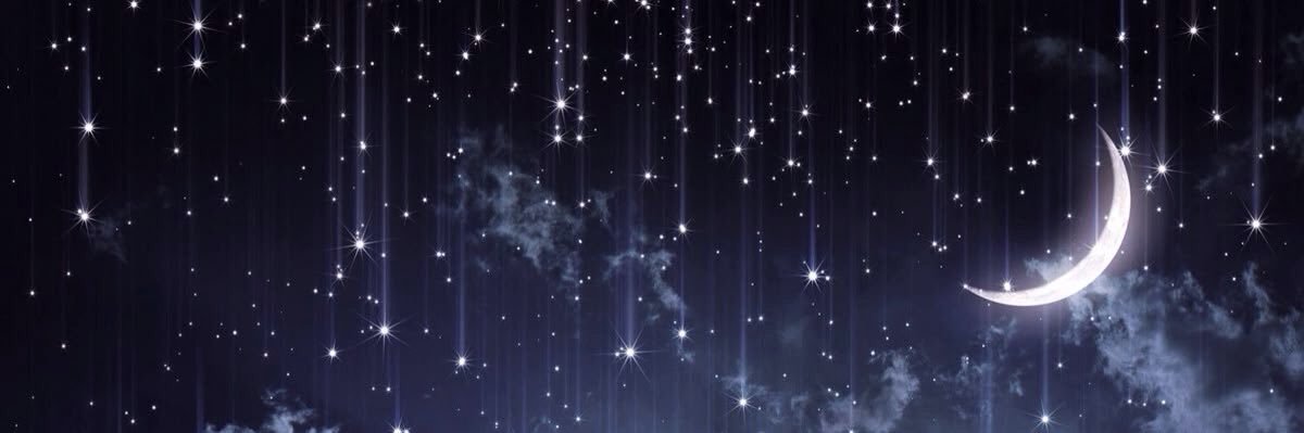 sleepiestwl's profile banner image