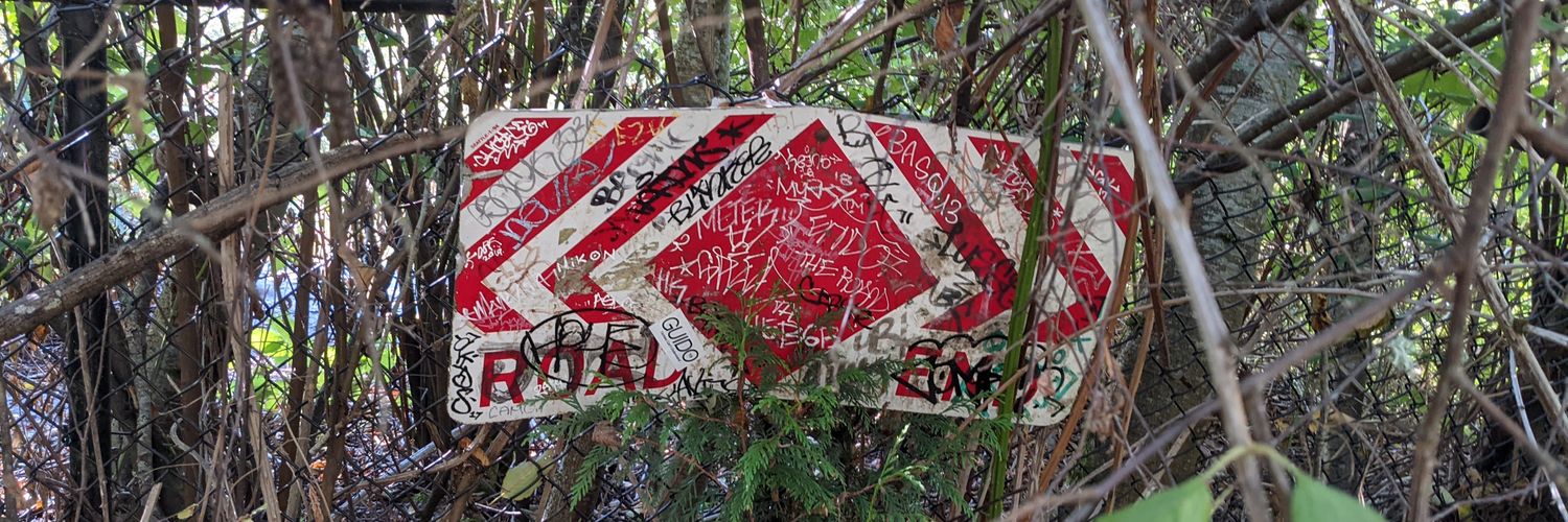 Elaine, still, somehow banner