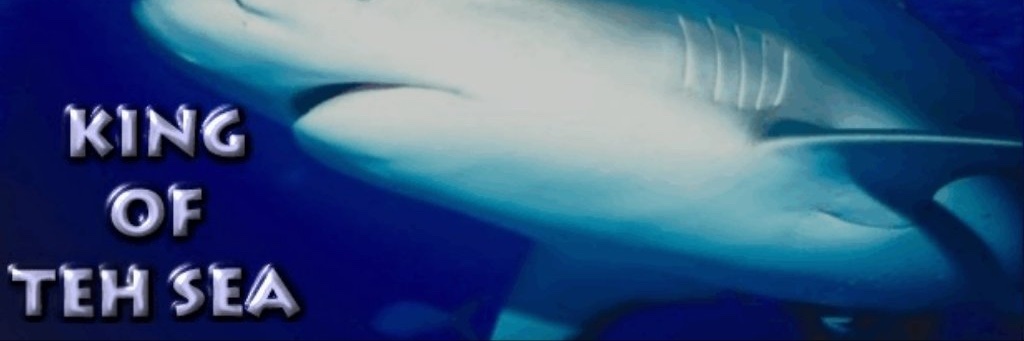 ( ᗜ ‸ ᗜ ) banner