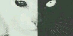 iambaaar's profile banner image