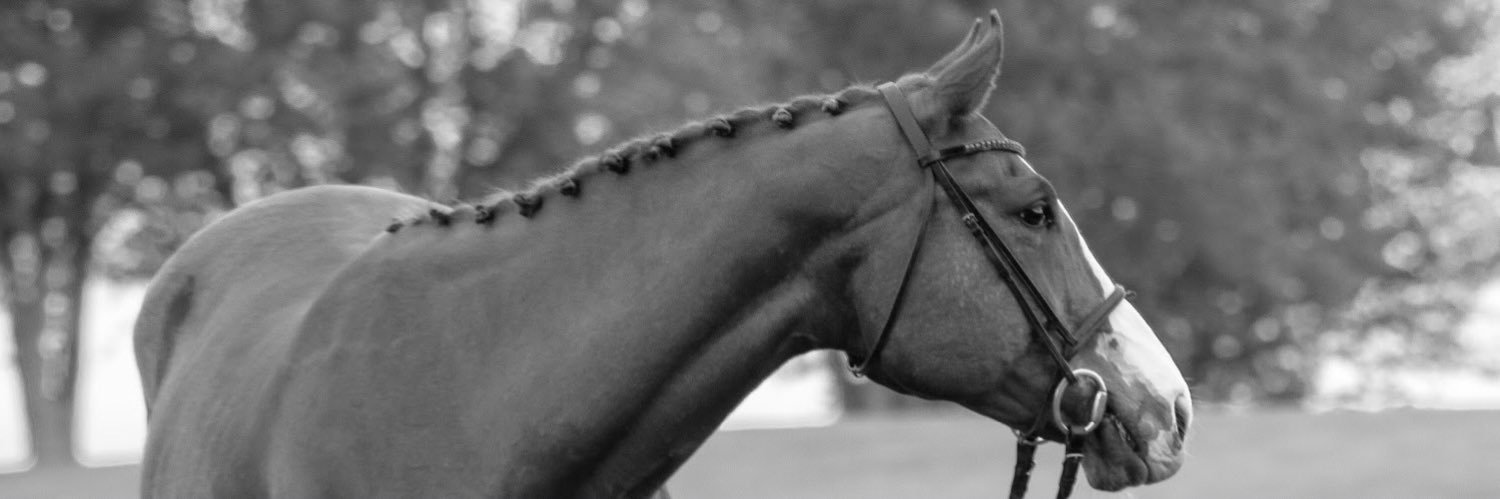 HaleyKuehner's profile banner image