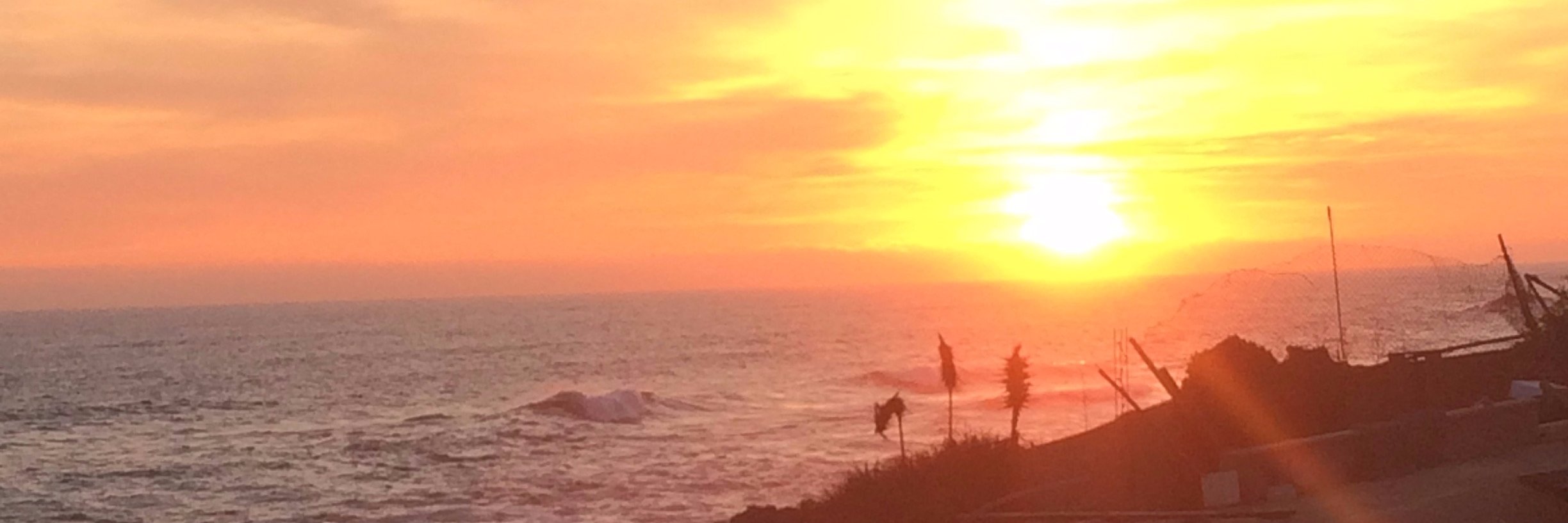 Dominique Becerra banner