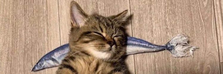 Aycanyldzz's profile banner image
