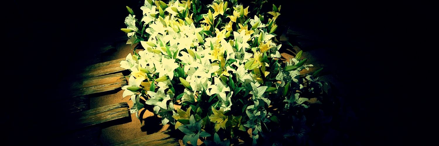 精 banner