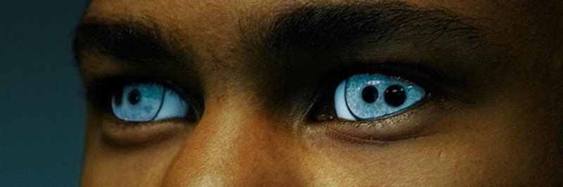 zander banner
