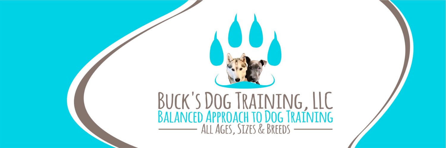 BuckDogTraining's profile banner image
