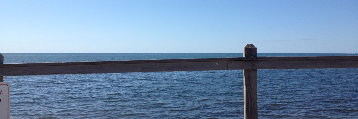 ThatOneEyedSnowman banner