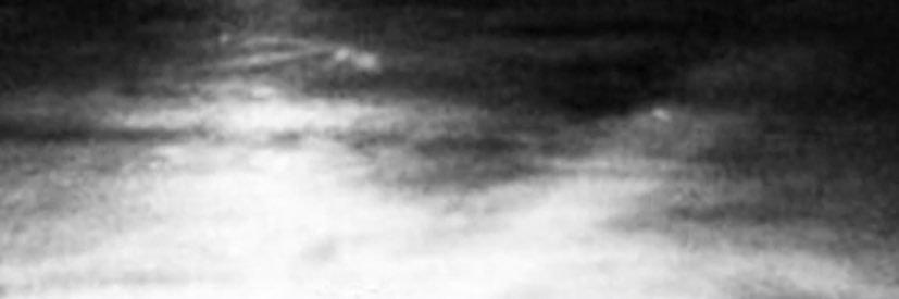 Patetico Cuckson banner
