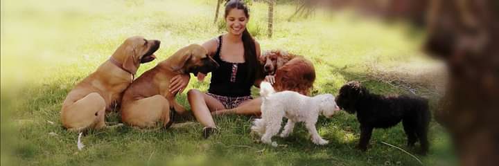 Ines Vaz banner