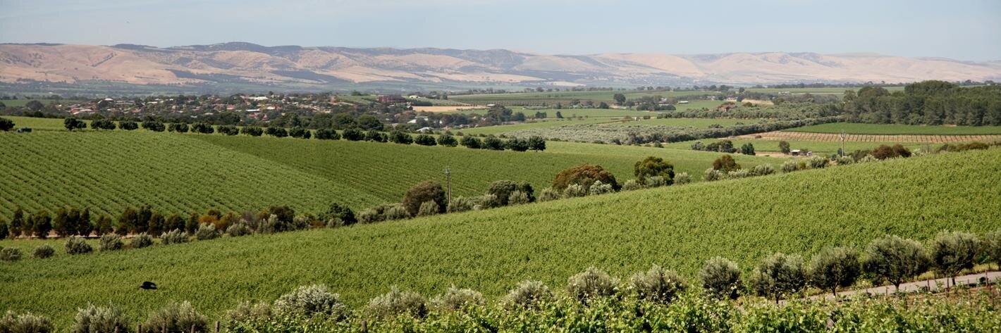 bwwines's profile banner image