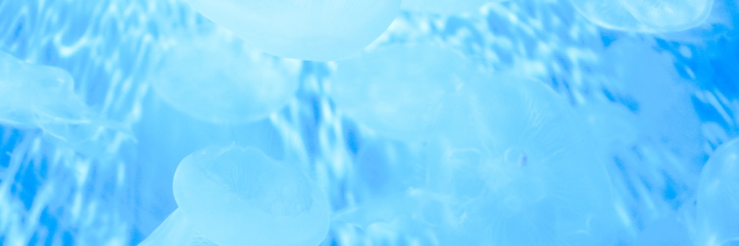 sa_camera828's profile banner image