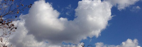 Usual_Anomaly Profile Banner