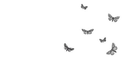 Chloee_Marieee's profile banner image