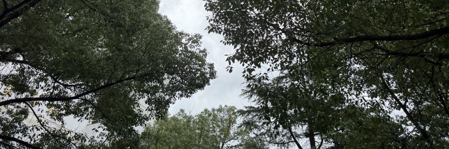 duzvzz's profile banner image