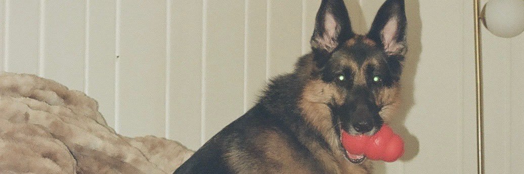lukegillette's profile banner image