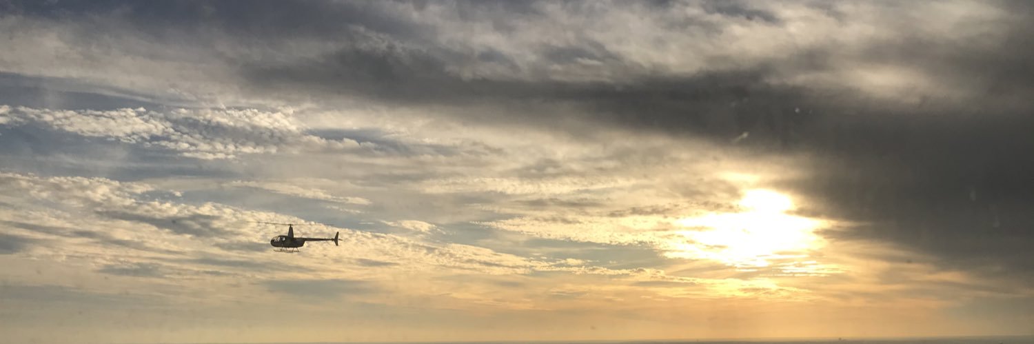 ybmdane's profile banner image