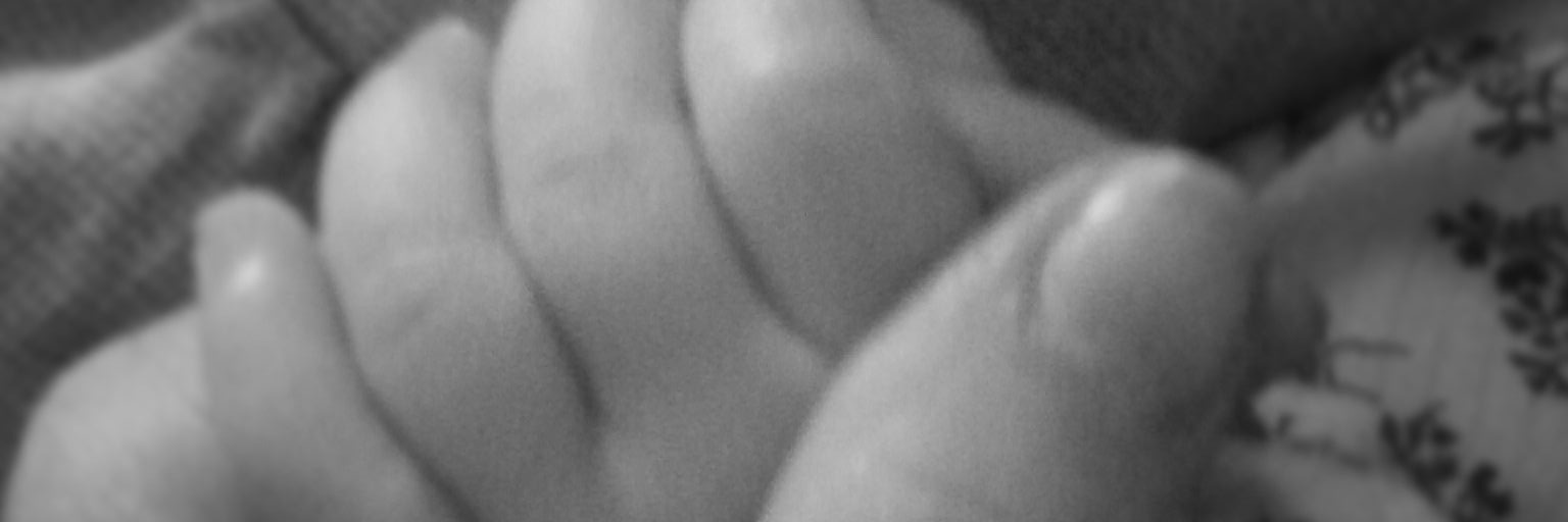 nailiper's profile banner image