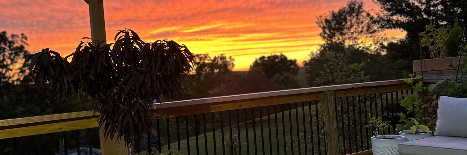 BullfrogPFFP's profile banner image